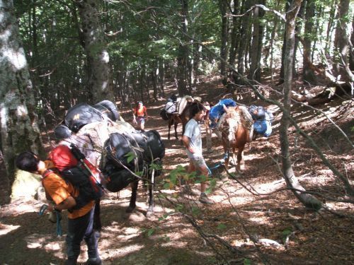 trekking con i muli-56.JPG